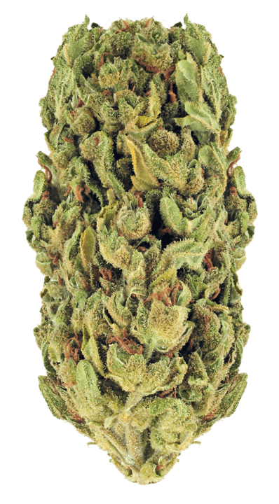 greenery