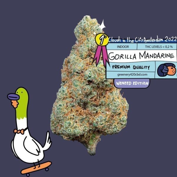 Flores CBD Gorilla Mandarine Amsterdam “Clouds in the City” 3gr - Imagen 2